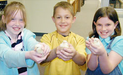 Students holding newly hatched baby chicks