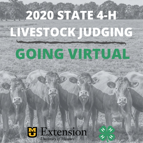 Open The 2020 Missouri 4-H State 4-H Livestock Judging Contest.
