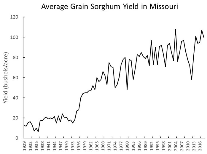 Graph showing average Missouri grain sorghum yield in bushels per acre every three years, from 1929 through 2016