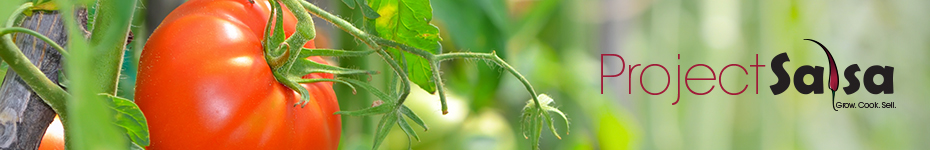 Project Salsa banner - tomato growing on vine