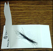 Placement of hair root samples on a collection card.