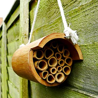 A mason bee hotel made of numerous wooden tubes inside fitted snuggly inside a large wooden tube