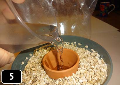Water being poured into a clay flowerpot inside a larger, plastic pot filled with vermiculite.