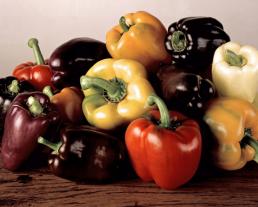 Sweet pepper varieties ripen to a rainbow of different colors.National Garden Bureau Inc.