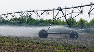 Row crop irrigation