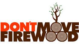 Don't Move Firewood logo