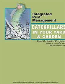 Cover art for publication IPM1019
